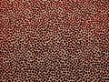 2806/30