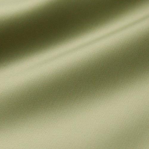 NENIS TULLENSI 2491-504