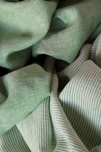 EGO STRIPED 015