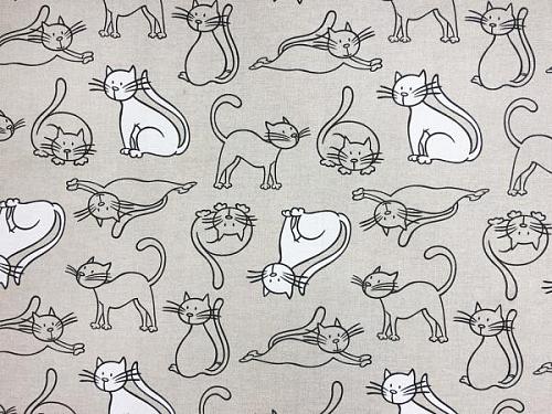 Cats