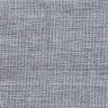 Neptun col Silver