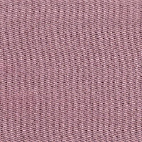 Venus col Rose