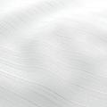 BALZAC 18 SWAN