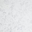 TREND 01 SNOW