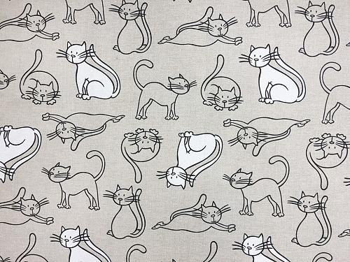 Cats
