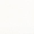 Venus col Cream