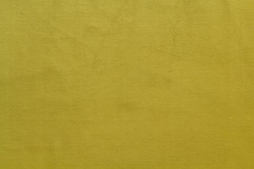 CASPIA PLAIN 11 Olive